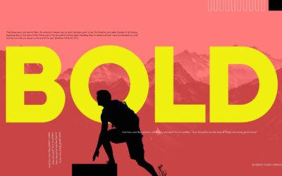 Bold Love | Paul Booko