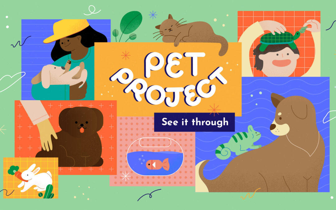 Elementary | Pet Project | January Series Overview